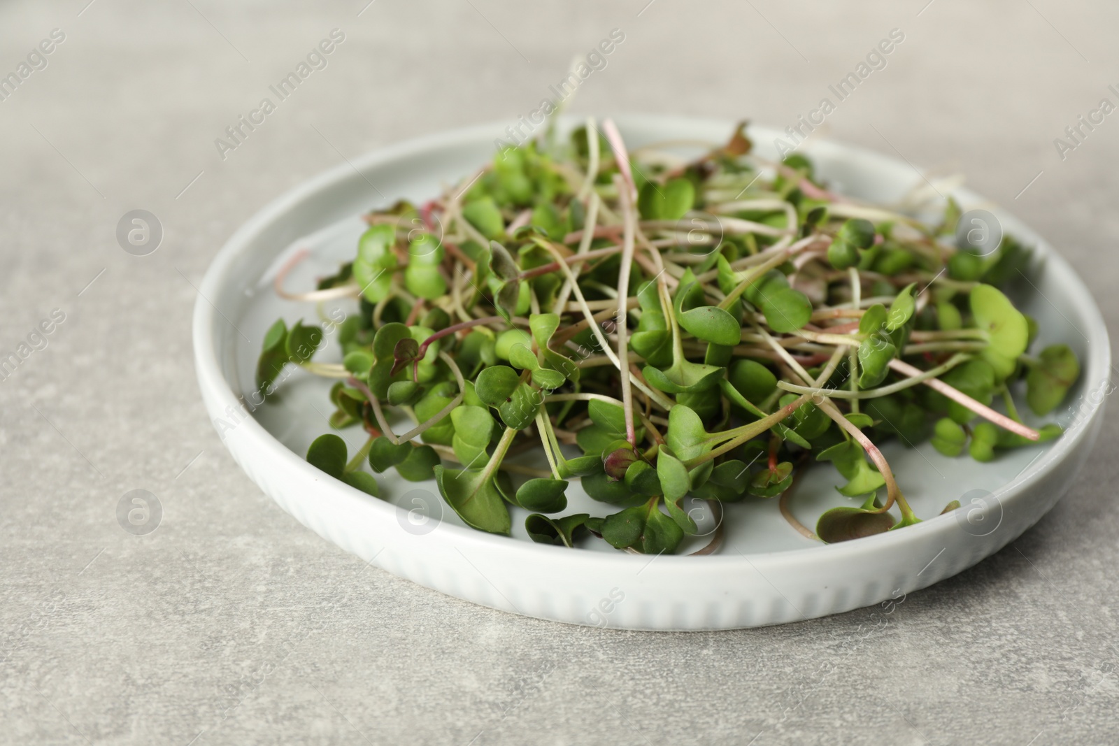 Photo of Plate with fresh radish microgreens on light grey table, closeup