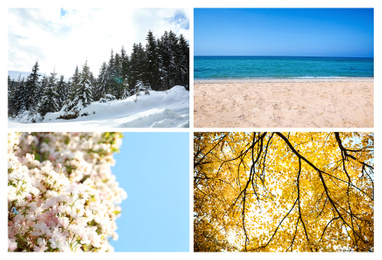 Image of Beautiful photos of nature. Four seasons collage