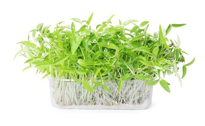 Photo of Mung bean sprouts in plastic container on white background