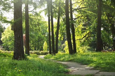 Photo of Beautiful view of park with trees and green grass