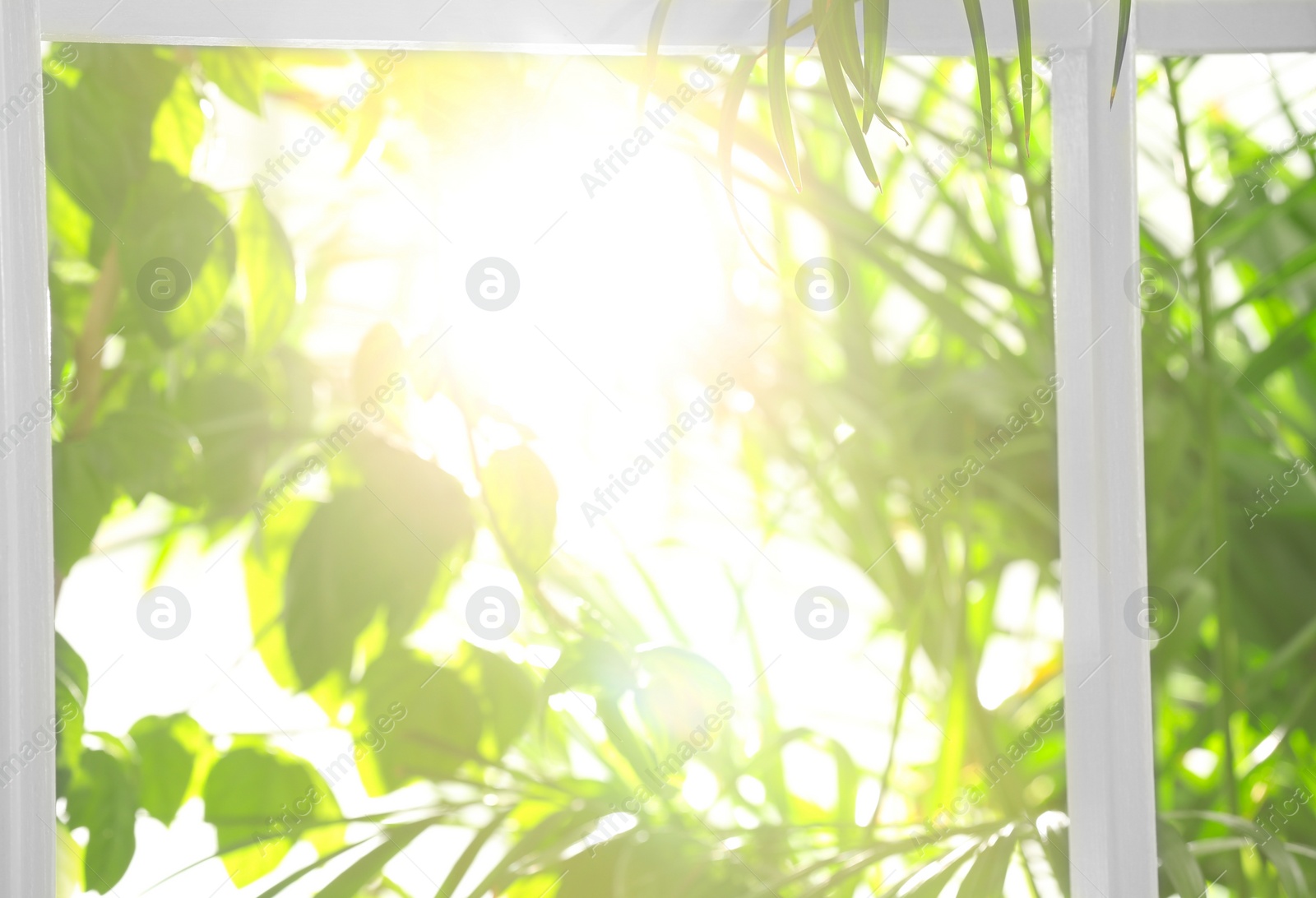 Photo of Beautiful view through window on garden in morning