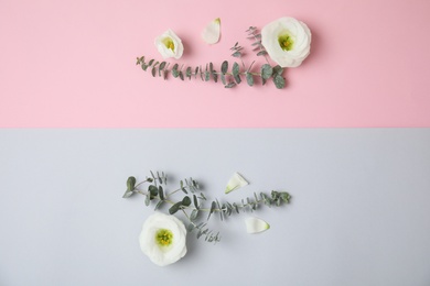 Photo of Fresh eucalyptus leaves with flowers and space for design on color background, flat lay