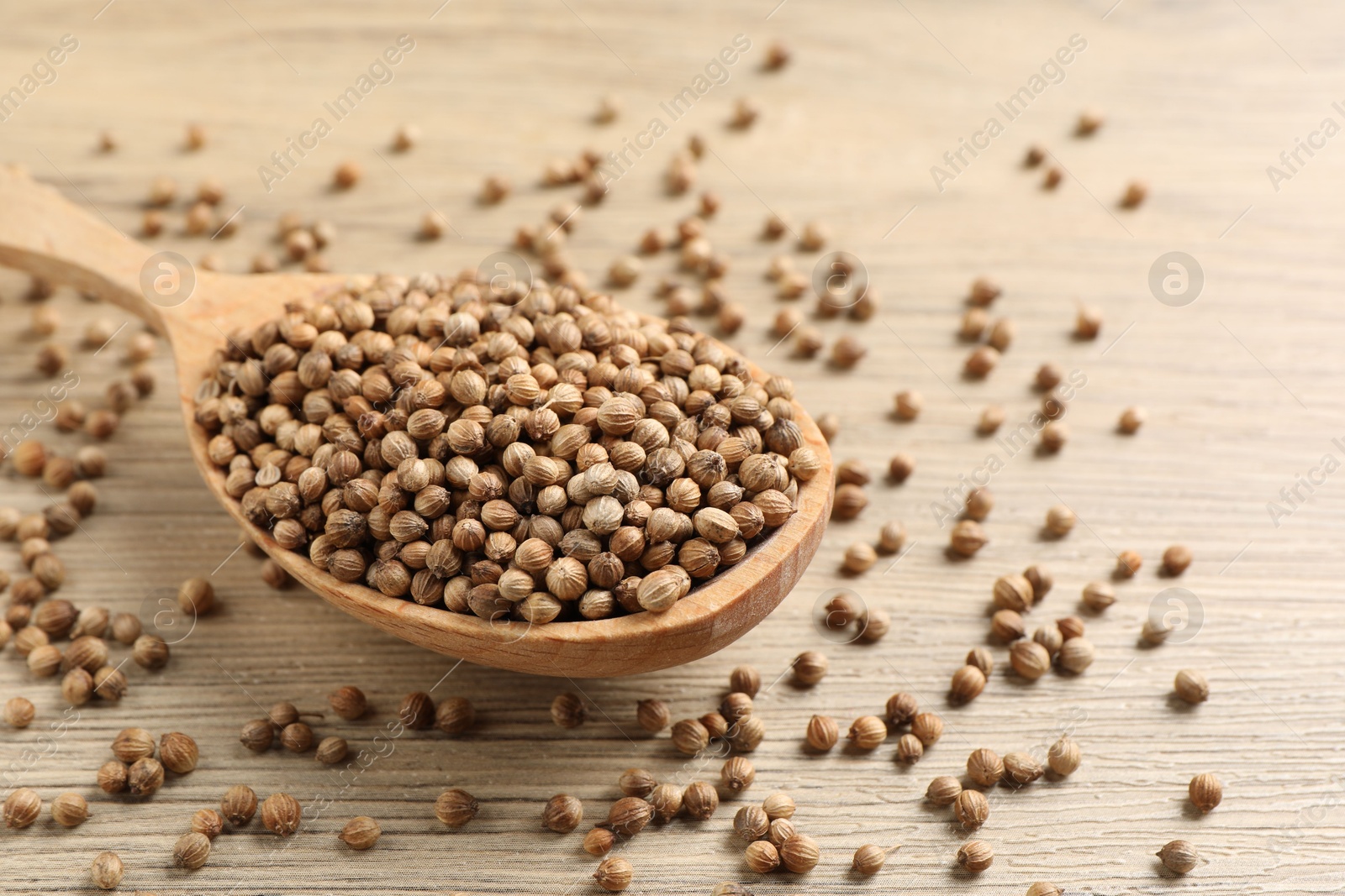 Photo of Spoon with dried coriander seeds on wooden table, closeup