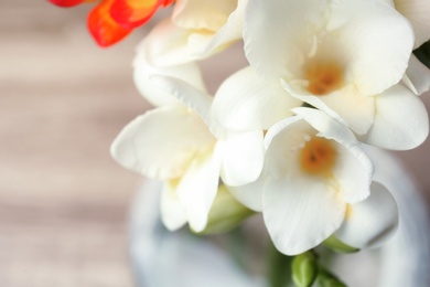 Photo of Beautiful freesia flowers on blurred background, closeup