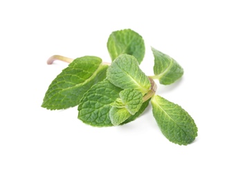 Twig of fresh mint isolated on white