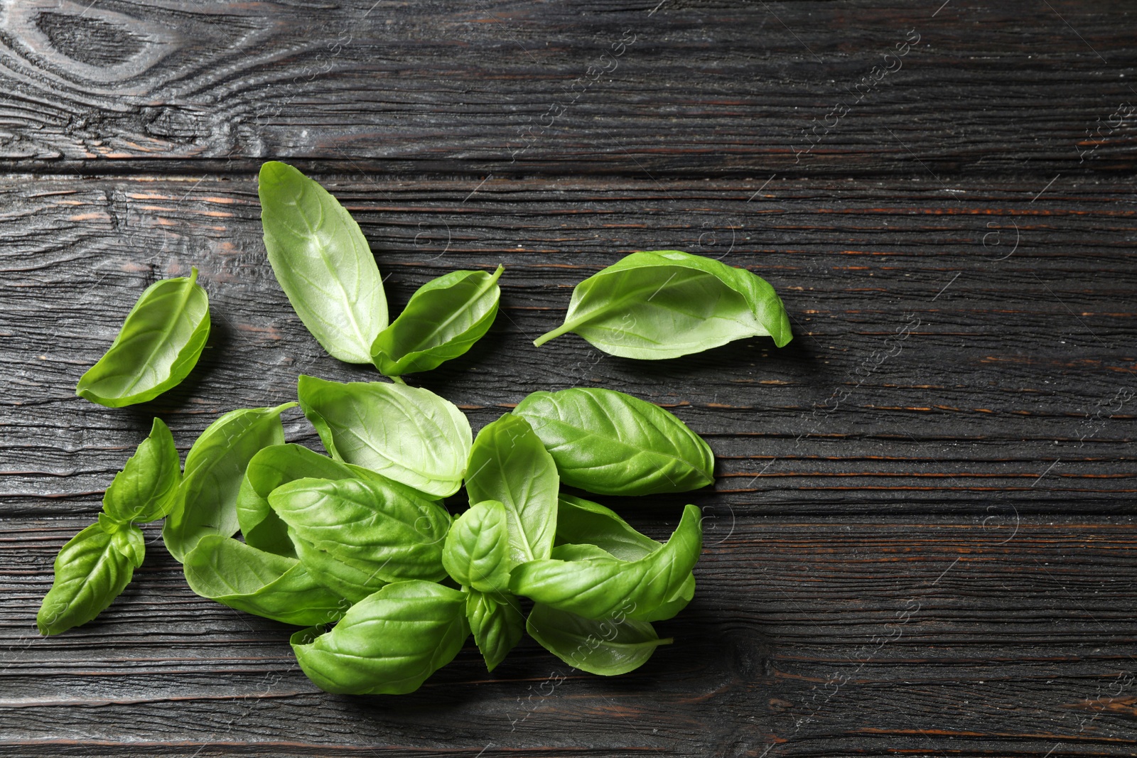 Photo of Fresh green basil on black wooden table, top view