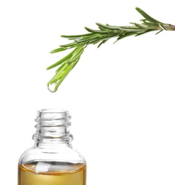 Rosemary branch with drop of essential oil over bottle against white background