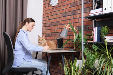 Photo of Woman with beautiful cat working at desk. Home office