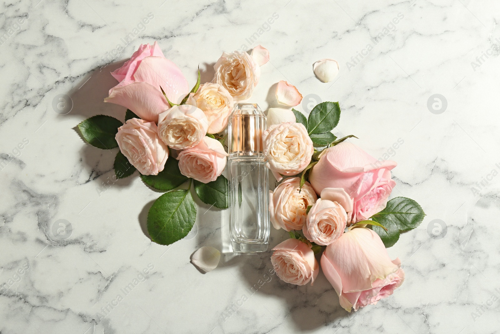 Photo of Beautiful composition with bottle of perfume and roses on marble background, top view