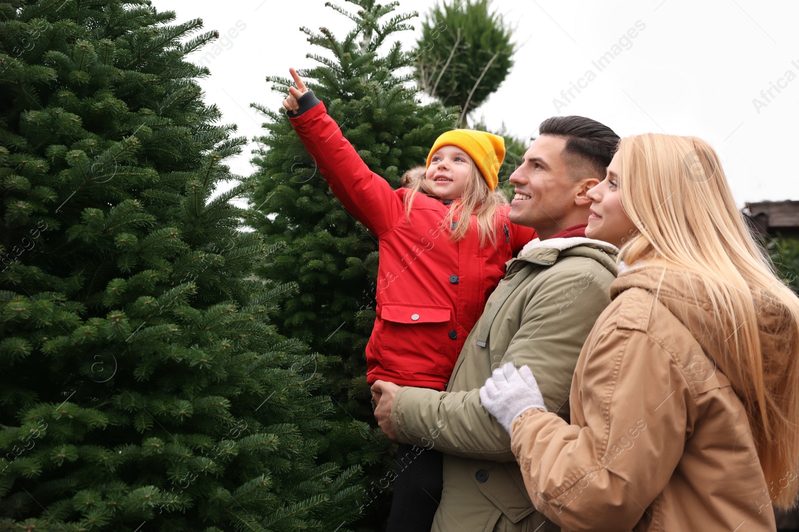 Photo of Family choosing plants at Christmas tree farm. Space for text