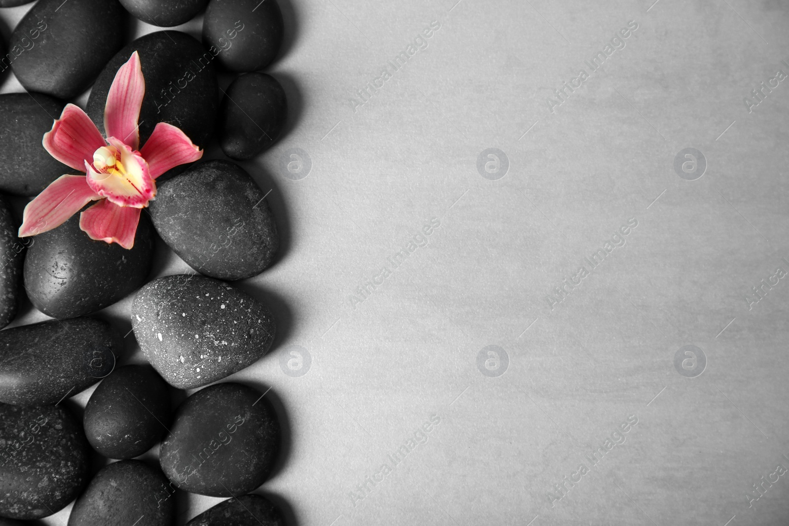 Photo of Spa stones with flower on color background, top view. Space for text