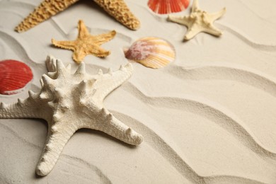 Photo of Beautiful sea stars and shells on sand, closeup
