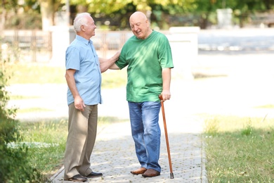 Photo of Elderly men spending time together in park