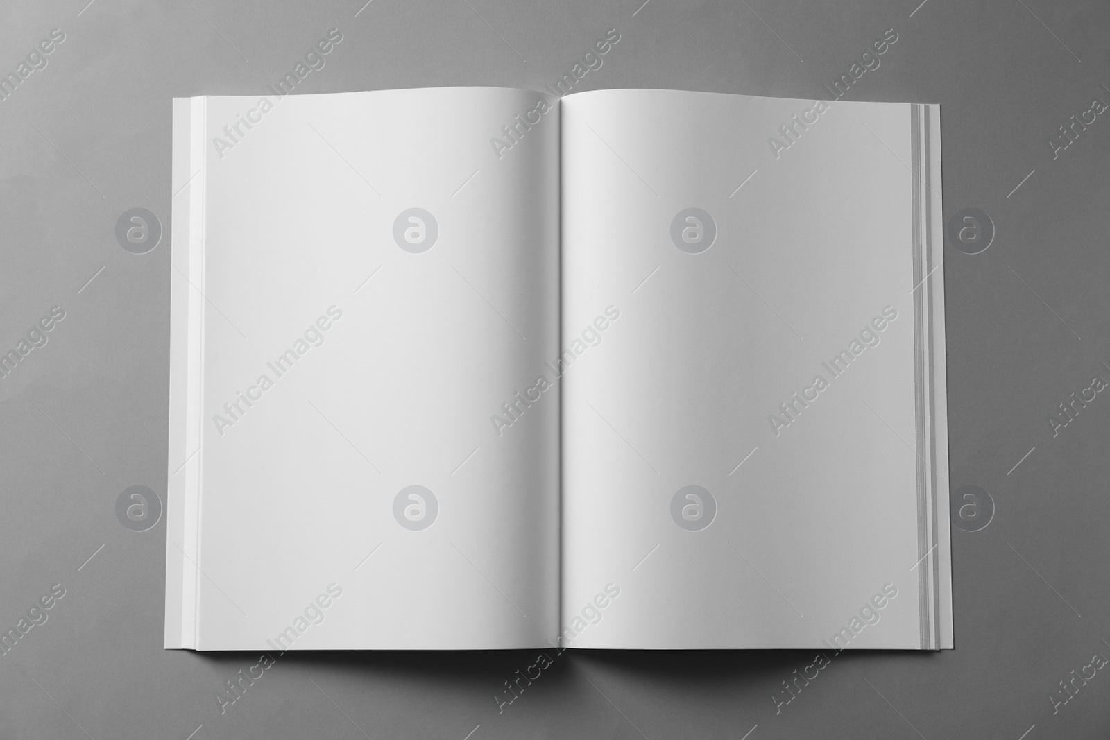 Photo of Open blank brochure on light grey background, top view