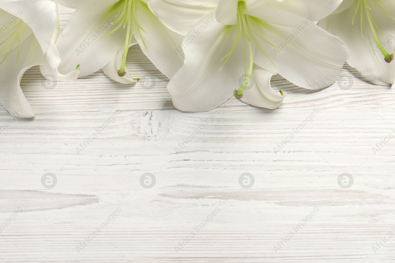 Photo of Beautiful lily flowers on white wooden table, flat lay. Space for text