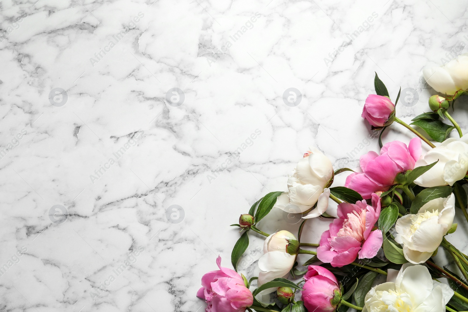 Photo of Fragrant peonies on marble table, top view with space for text. Beautiful spring flowers