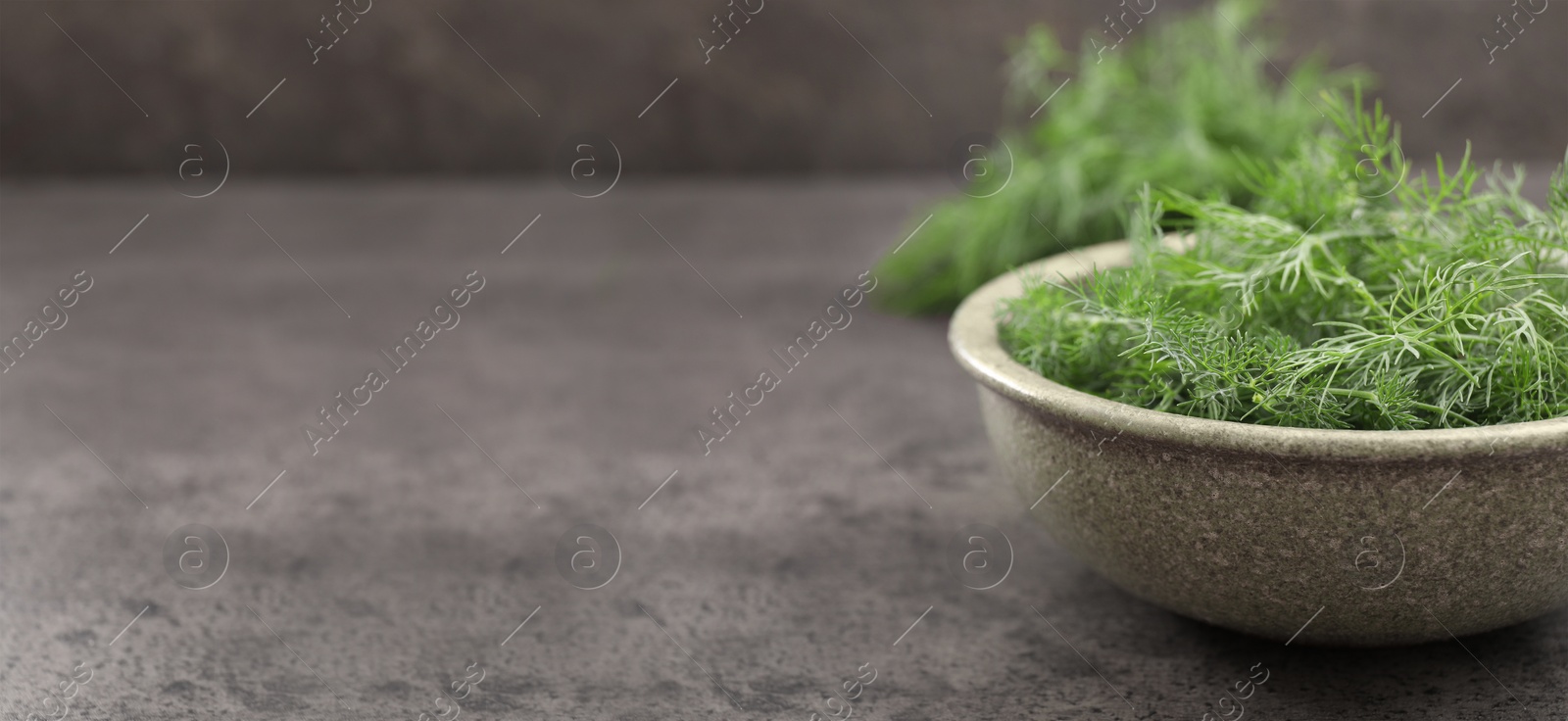 Image of Fresh dill in bowl on grey table. Banner design with space for text