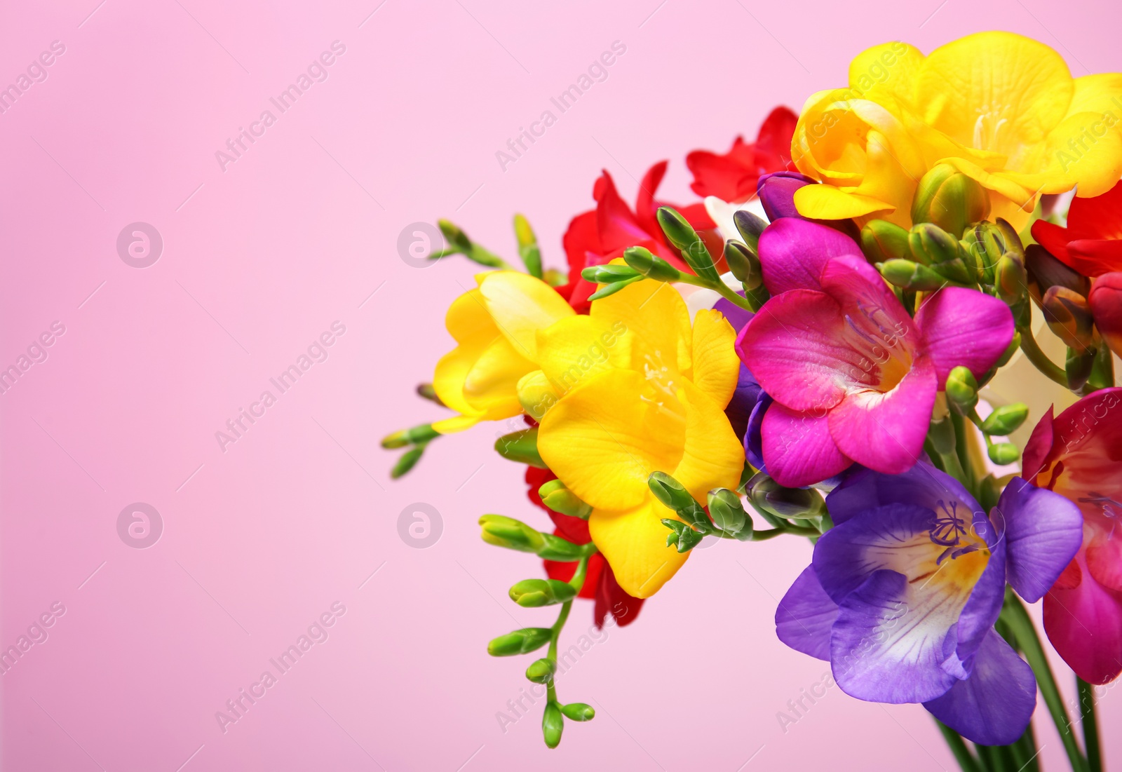 Photo of Bouquet with beautiful freesia flowers on color background