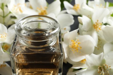 Jasmine essential oil and fresh flowers, closeup view