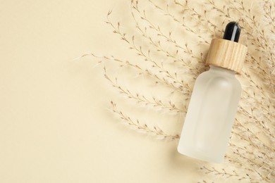 Photo of Bottle of face serum and dried flowers on beige background, flat lay. Space for text
