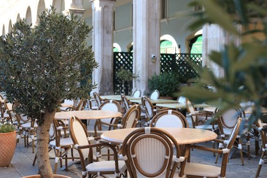 Outdoor cafe with stylish furniture and potted plants