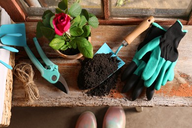 Pot with beautiful rose, gardening gloves and tools on wooden windowsill, flat lay