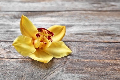 Beautiful vanilla flower on wooden background