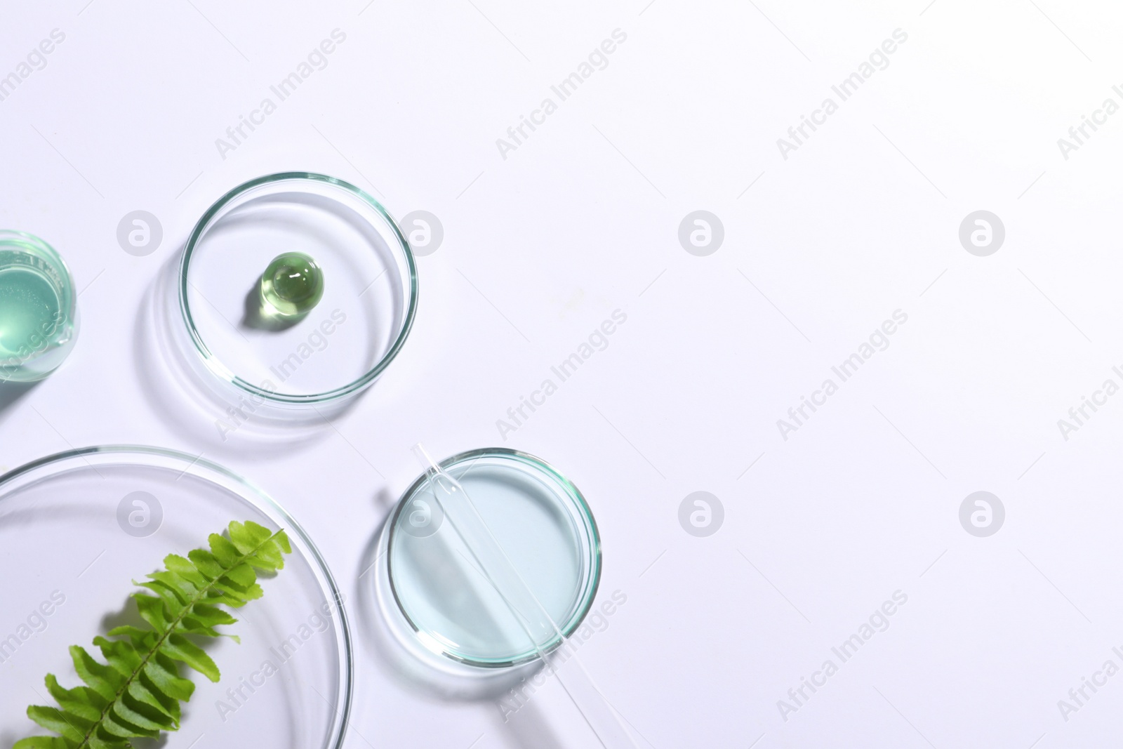 Photo of Organic cosmetic product, natural ingredients and laboratory glassware on white background, top view. Space for text