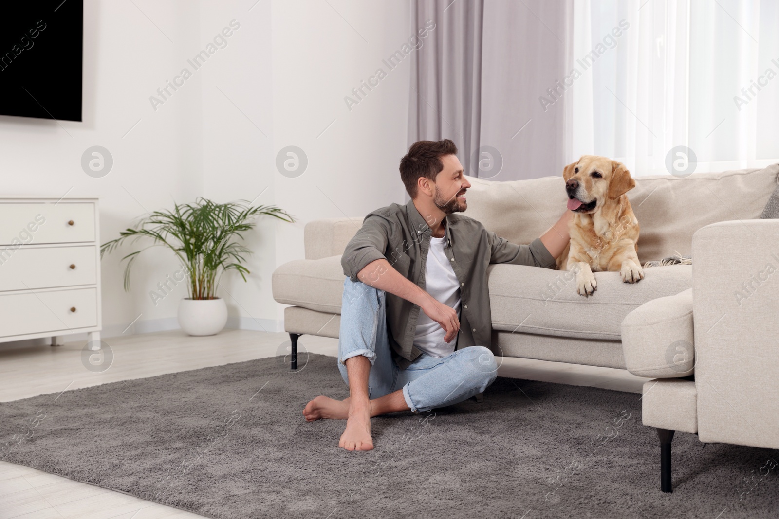 Photo of Happy man with his cute Labrador Retriever at home. Space for text