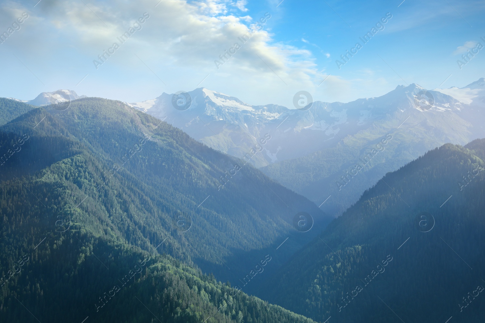 Photo of Aerial view of beautiful landscape with mountain forest on sunny day