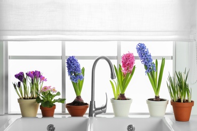 Photo of Beautiful flowers in pots near sink on window sill indoors