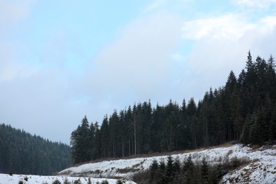 Beautiful landscape with conifer forest. Winter vacation