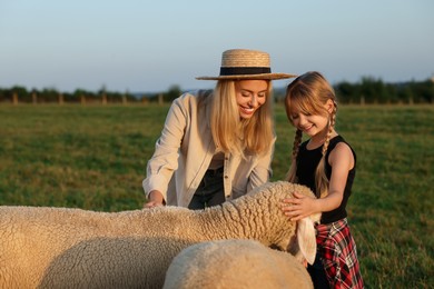 Mother and daughter stroking sheep on pasture. Farm animals