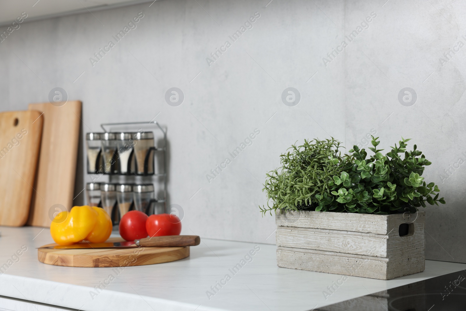 Photo of Potted artificial plant on white countertop in kitchen