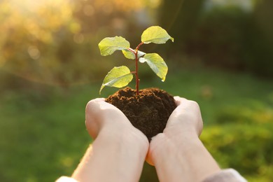 Photo of Woman holding soil with young green seedling, closeup. Planting tree