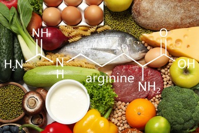 Image of Different organic products, top view. Sources of essential amino acids 