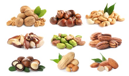 Set with different tasty nuts on white background 