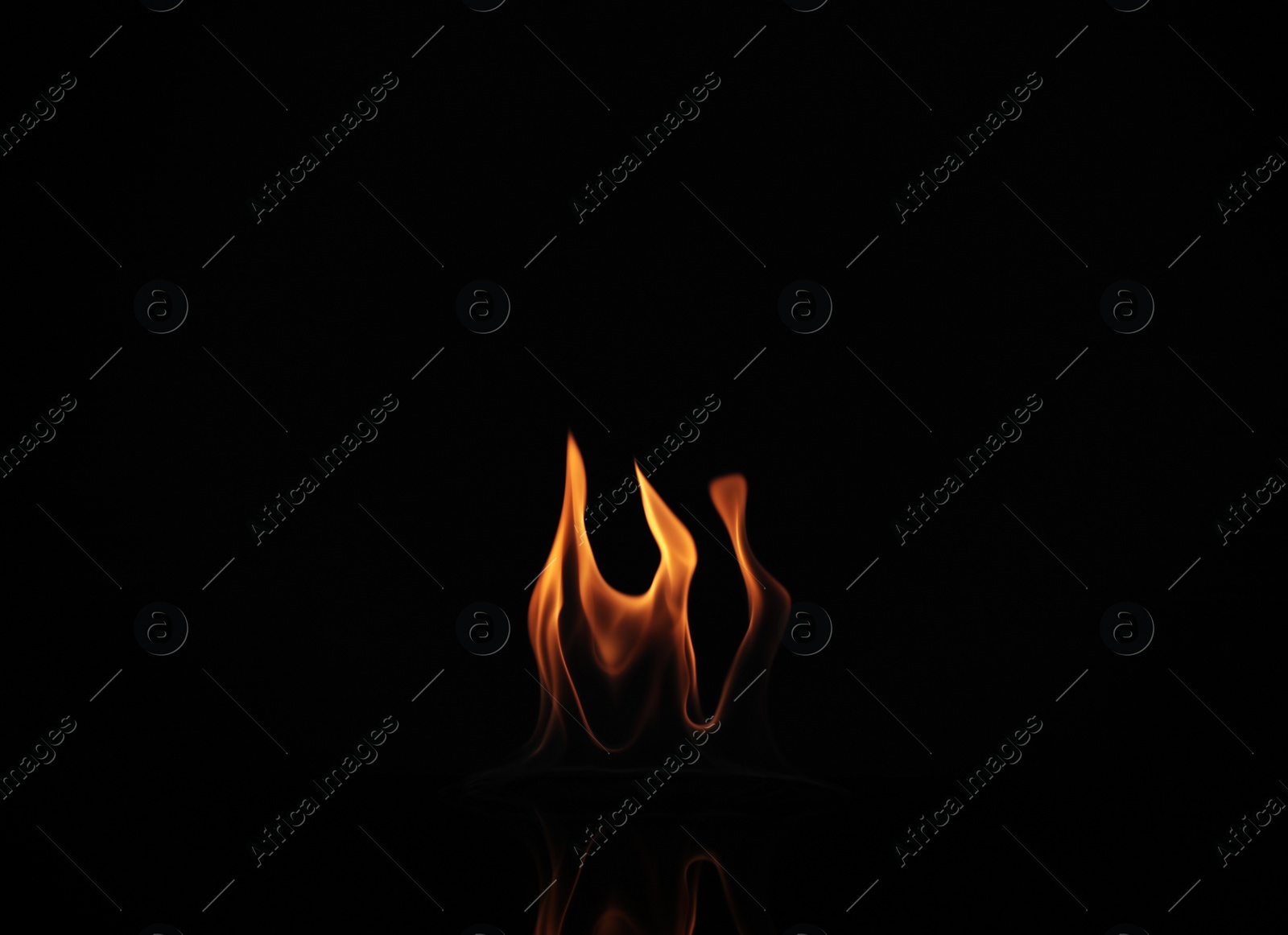 Photo of Beautiful bright fire flames on black background