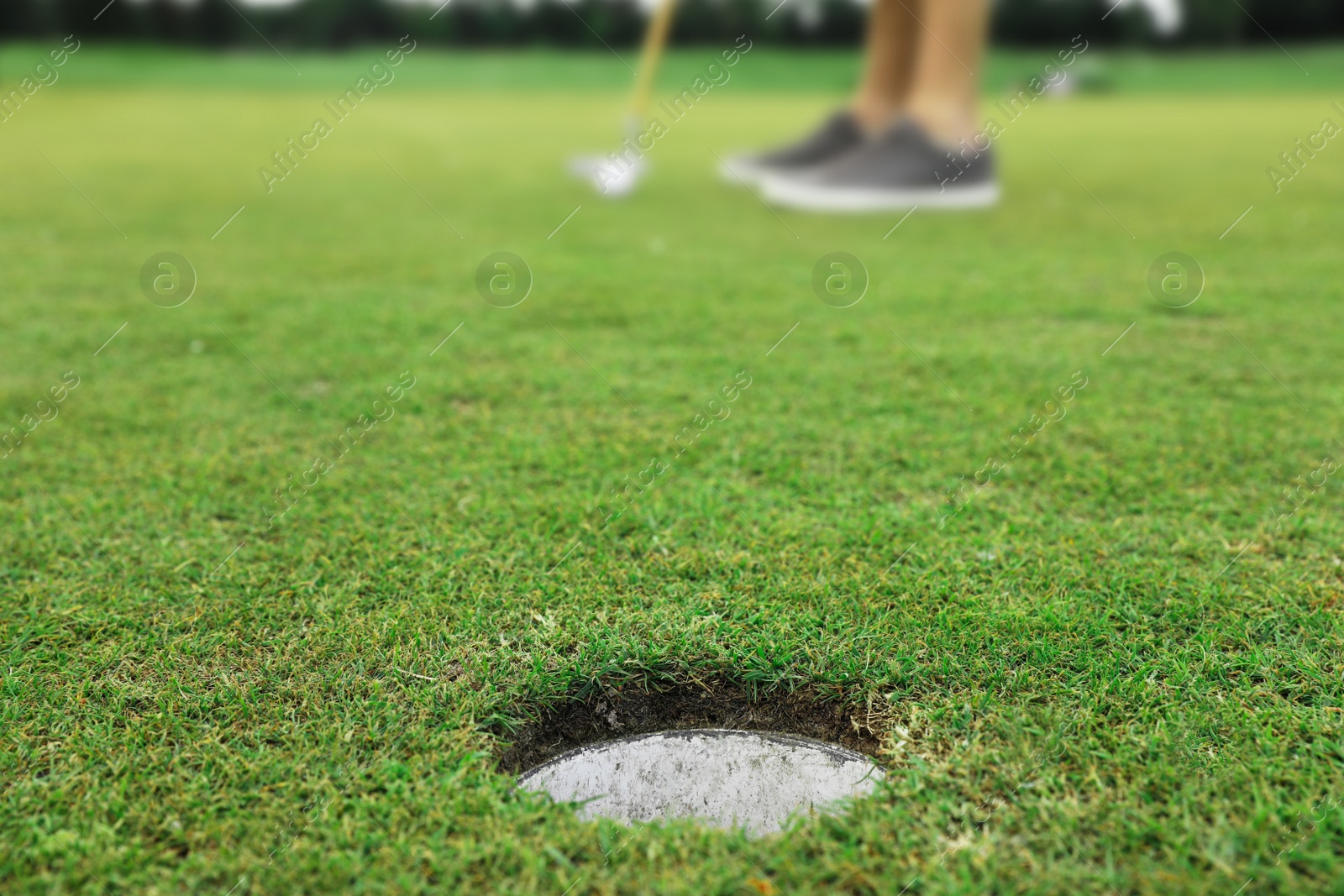 Photo of Man playing golf on green course, hole in focus. Sport and leisure