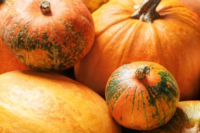 Photo of Different pumpkins as background, closeup. Autumn holidays