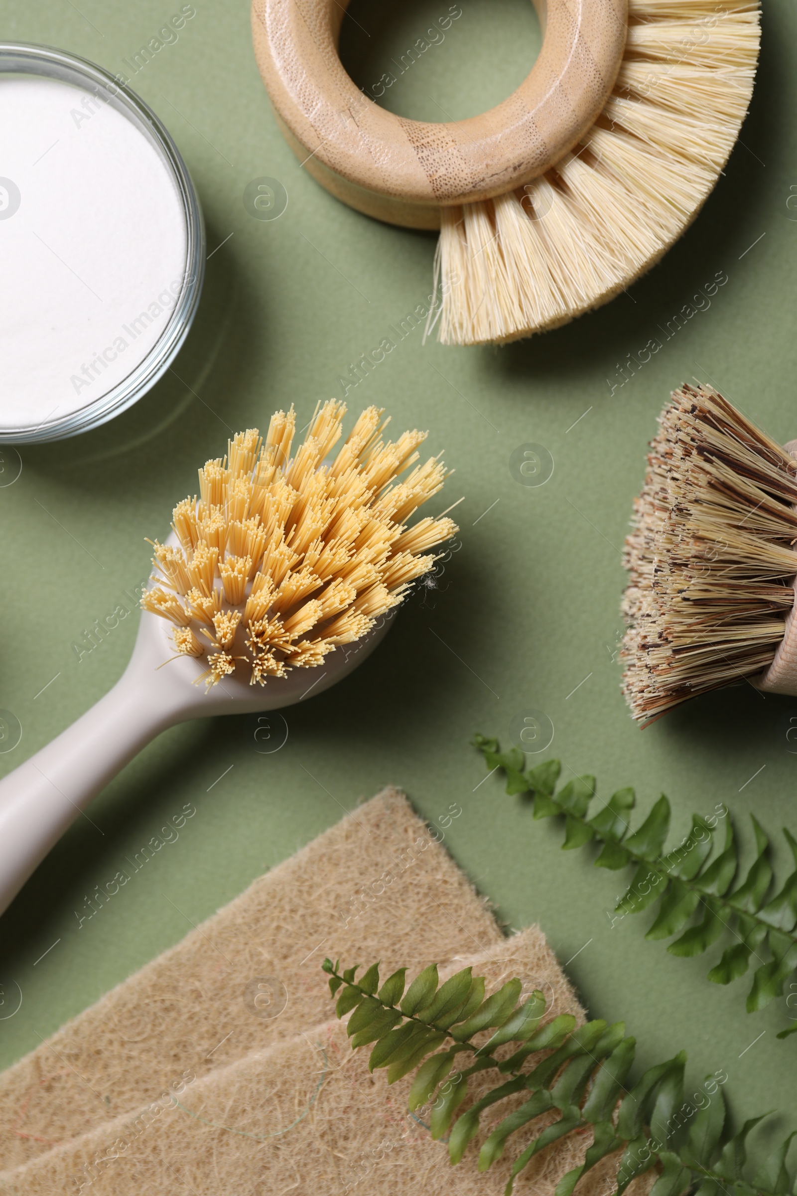 Photo of Cleaning brushes, baking soda, sponges and fern leaves on green background, flat lay