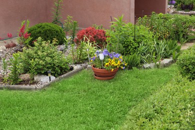 Photo of Beautiful flowerbeds with different plants outdoors. Gardening and landscaping