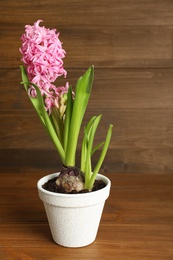 Beautiful hyacinth in flowerpot on wooden table