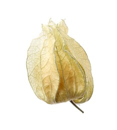 Photo of Ripe physalis fruit with calyx isolated on white