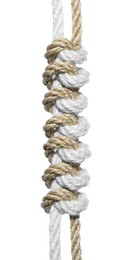 Photo of Two braided hemp ropes isolated on white