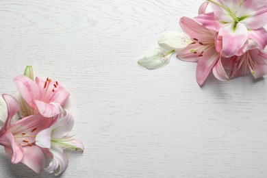 Photo of Composition with beautiful blooming lily flowers on light background