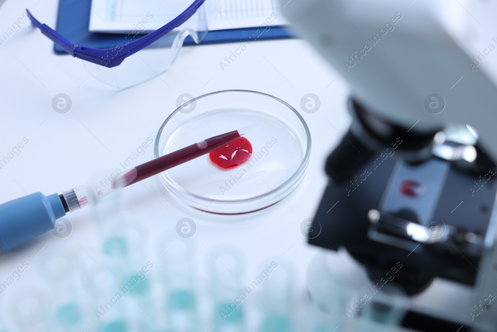 Photo of Dripping blood sample onto Petri dish on white table in laboratory, closeup