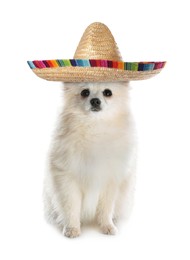 Image of Cute little doggy with sombrero on white background