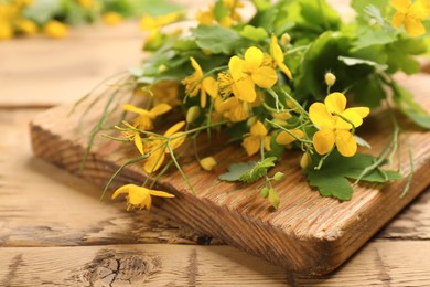 Photo of Celandine with board on wooden table, closeup
