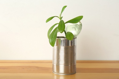 Organic houseplant in tin can on wooden table